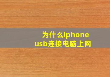 为什么iphone usb连接电脑上网